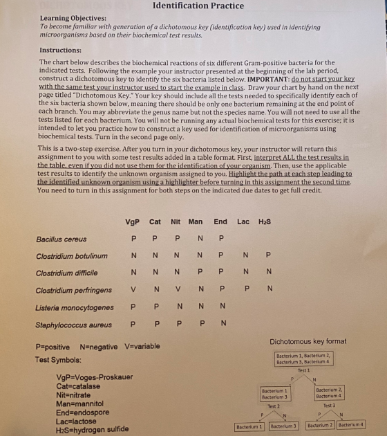 Identification Practice Learning Objectives: To become familiar with generation of a dichotomous key (identification key) use