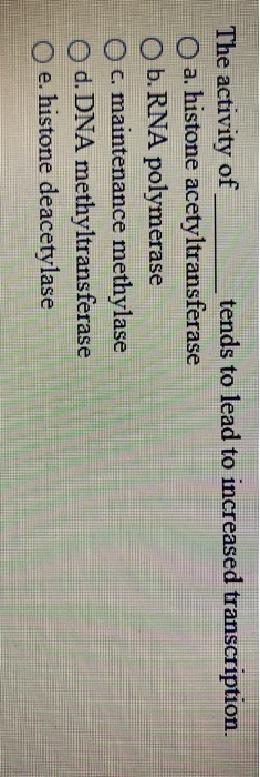 The activity of tends to lead to increased transcription. a. histone acetyltransferase O b. RNA polymerase Oc maintenance met