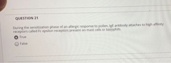 QUESTION 21 During the sensitization phase of an allergic response to pollen, IgE antibody attaches to high affinity receptor