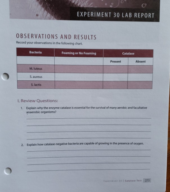 EXPERIMENT 30 LAB REPORT OBSERVATIONS AND RESULTS Record your observations in the following chart. Bacteria Foaming or No Foa