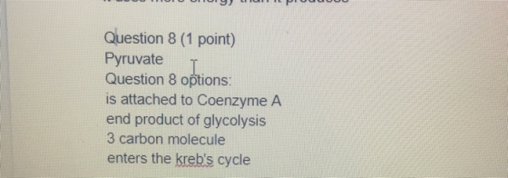 DOBIO OLIOLIITIL VOULOU Question 8 (1 point) Pyruvate T Question 8 options: is attached to Coenzyme A end product of glycolys