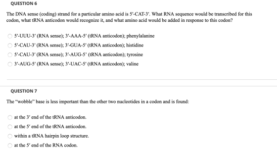 QUESTION 6 The DNA sense (coding) strand for a particular amino acid is 5-CAT-3. What RNA sequence would be transcribed for