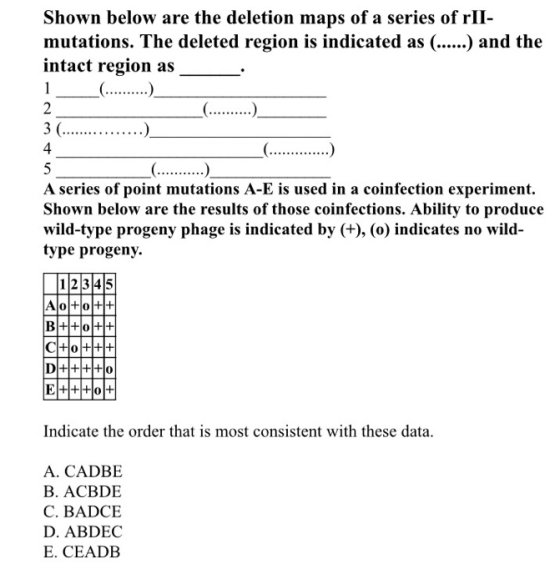 Shown below are the deletion maps of a series of rII- mutations. The deleted region is indicated as (.....) and the intact re