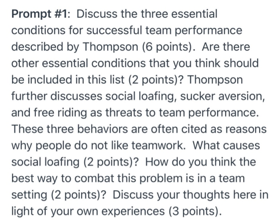 Prompt #1: Discuss the three essential conditions for successful team performance described by Thompson (6 points). Are there