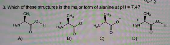 CH3 O 3. Which of these structures is the major form of alanine at pH = 7.4? CH CH3 CH3 HNY H o 0 + 0. I H H₃N Y 250 H₂N Y H₃