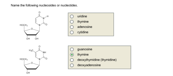 Name the folowing nucleosides or nucleotides. O uridine O thymine O adenosine O cytidine HOCH2 онон O guanosine O thymine O d