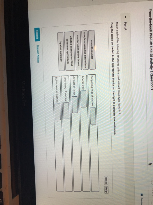 From-the-book Pre-Lab Unit 25 Activity 2 Question 1 Revier Part A Match each of the following structures with a predominant t