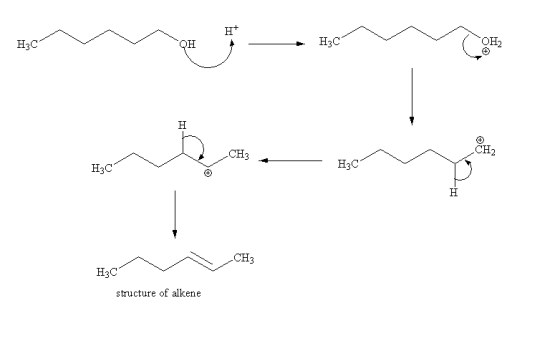 H+ H3C H3C CH3 CH2 H3C H3C CH3 H3C structure of alkene