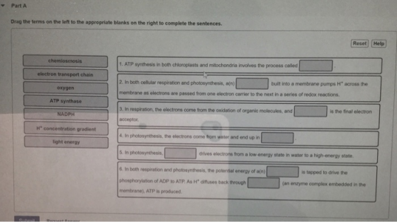 PartA Drag the terms on the left to the appropriate blanks on the right to complete the sentences. Reset Help chemiosmosis 1.