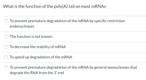What is the function of the poly(A) tail on most mRNAs To prevent premature degradation of the mRNA by specific restriction e