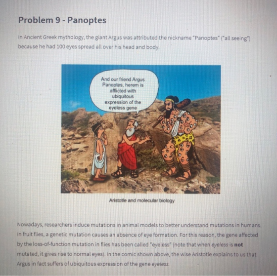 Problem 9 - Panoptes In Ancient Greek mythology, the giant Argus was attributed the nickname Panoptes (all seeing) becaus
