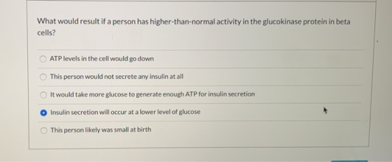 What would result if a person has higher-than-normal activity in the glucokinase protein in beta cells? ATP levels in the cel