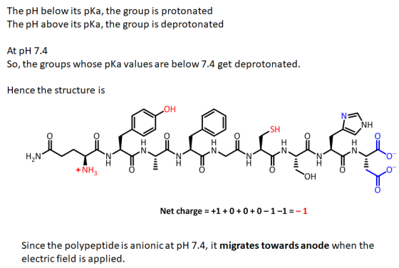 The pH below its pKa, the group is protonated The pH above its pka, the group is deprotonated At pH 7.4 So, the groups whose