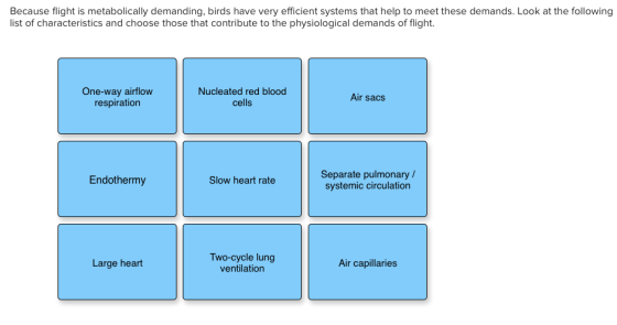 Because flight is metabolically demanding, birds have very efficient systems that help to meet these demands. Look at the fol