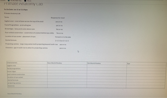 Walt! Primate Anatomy Lab To-Do Date: Jun 15 M 11:59pm Primate Anatomy Lab Terms Response for chart Sagitalcrest.crest of bon