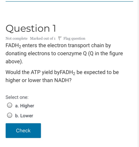 Question 1 Not complete Marked out of 1 P Flag question FADH2 enters the electron transport chain by donating electrons to co