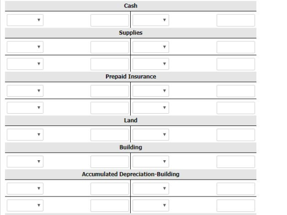 Cash Supplies Prepaid Insurance Land Building Accumulated Depreciation-Building