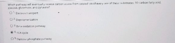 Which pathway will eventually receive carbon atons from catabolism of every one of these substrates: 10 carbon fatty acid. gl