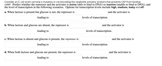 Consider an E. coli strain carrying a mutation in crp (encoding the catabolite activator protein) that prevents CAP from bind