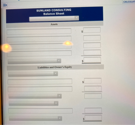 CALCULA SUNLAND CONSULTING Balance Sheet Assets Liabilities and Owners Equity
