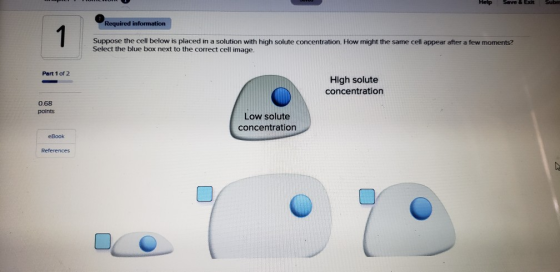 Help Save & but Sub Required information Suppose the cell below is placed in a solution with high solute concentration. How m