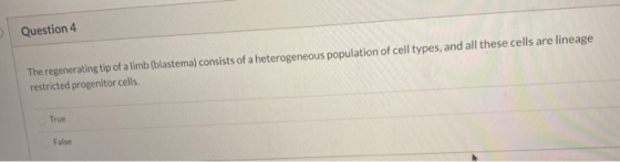 Question 4 The regenerating tip of a limb (blastema) consists of a heterogeneous population of cell types, and all these cell