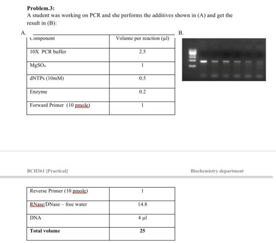 Problem.3: A student was working on PCR and she performs the additives shown in (A) and get the result in (B): B. Component V