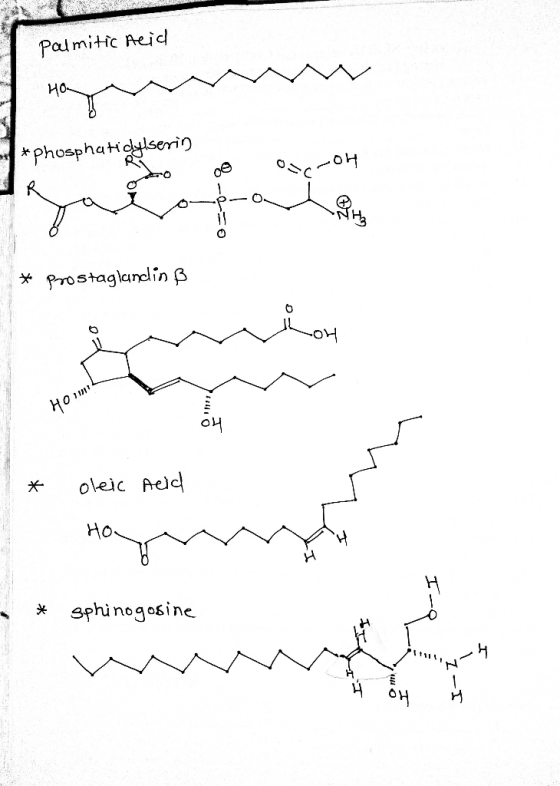 Palmitic Acid m HOL OSOH *Phosphatidylserin R omprom * Prostaglandin B HOL * oleic neid HO - * sphinogosine w Z-I