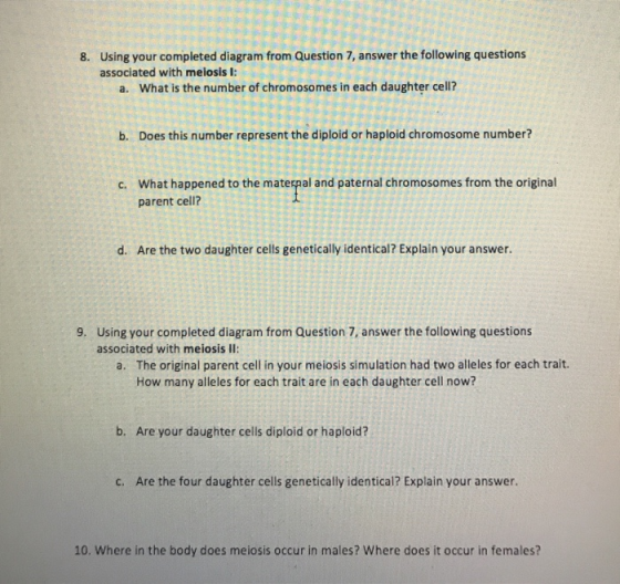 8. Using your completed diagram from Question 7 answer the following questions associated with meiosis 1: a. What is the numb