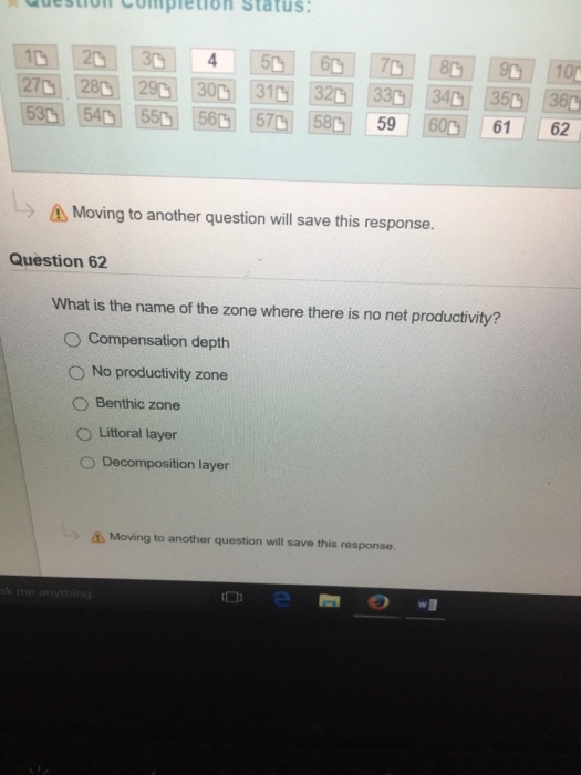 What is the name of the zone where there is no net