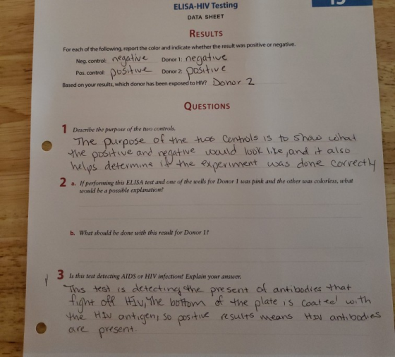 ELISA-HIV Testing DATA SHEET RESULTS For each of the following, report the color and indicate whether the result was positive