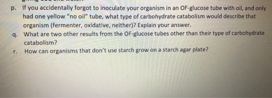 p. If you accidentally forgot to inoculate your organism in an OF-glucose tube with oil, and only had one yellow “no oil” tub