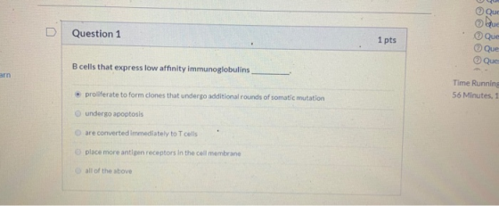 Que Question 1 1 pts bue Que Que Que B cells that express low affinity immunoglobulins arn proliferate to form clones that un