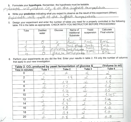 3. Formulate your hypothesis. Remember, the hypothesis must be testable 4. Write your prediction indicating what you expect to observe as the result of this experiment (if/then) 5. Design your experiment and enter the number of tubes you need for a properly contr eriment and enter the number of tubes you need for a properly controlled in the following table. Fill in the table as appropriate. CHECK WITH YOU INSTRUCTOR BEFORE PROCEEDING! Yeast Calculate Name of Additional suspensionFinal volume Substrate Glucose Distilled water Tube luc 6. Perform your experiments as you did the first. Enter your results in table 2. Fill only t ur experiments as you did the first. Enter your results in table 2. Fill only the number of columns that apply to your new investigation Table 2. CO2 produced by yeast fermentation of glucose & Time in minutes Volume in m Tube 4 Tube 1 Tube 2 Tube 3 2 4 6 1.5 10 12 20