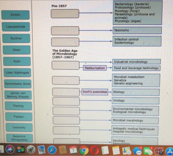 Bacteriology (bacteria) Protozoology (protozoa) Mycology (fungi) Parasitology (protozoa and animals) Phycology (algae) Pre-18
