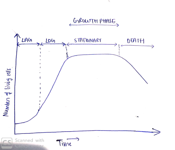 GROWTH PHASE 1 LAG LOG STATIONARY DENTH Number of living cells Scanned with CamScanner 1. Time