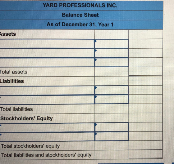 YARD PROFESSIONALS INC. Balance Sheet As of December 31, Year 1 Assets Total assets Liabilities Total liabilities Stockholder