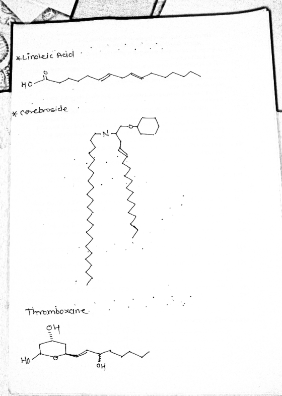 . Klinoleic Acid . Hovi . * cerebroside . . . Thromboxcine. . . ;