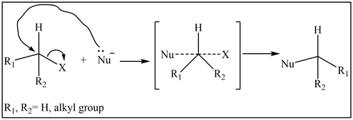 H
H
Nu
Nu
Nu
Ri
R2
R2
|R], R2= H, alkyl group
