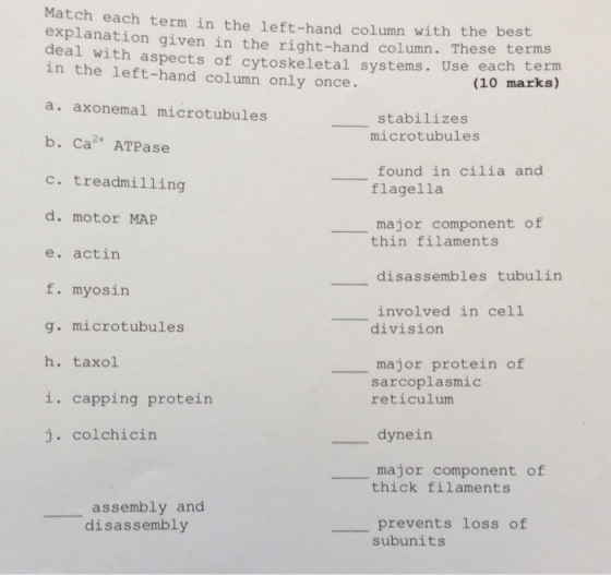 Need help matching these terms with its appropriat