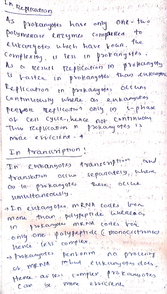 In reprrcathy As prokanyon i Lasten ceplication pookanyotes have only one two polymerase enzymes compared to eukaryotes which