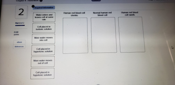 Chapter 4 - Homework 1 Required information Human red blood cell shrinks Human red blood cell Normal human red Hunan red blog