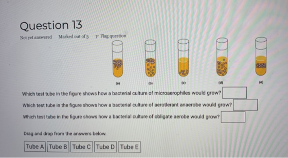 Question 13 Not yet answered Marked out of 3 P Flag question 09 Which test tube in the figure shows how a bacterial culture o