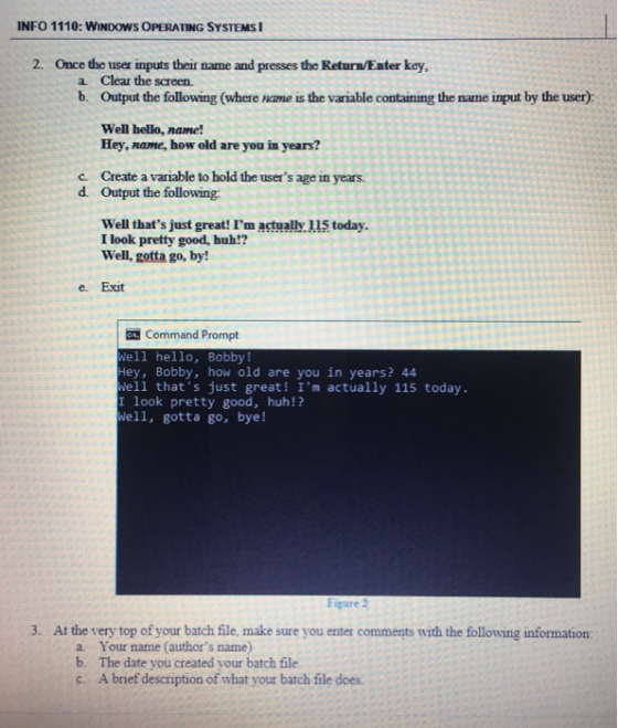 INFO 1110: WINDOWS OPERATING SYSTEMS 2. Once the user inputs their name and presses the Return/Enter key. a clear the screen
