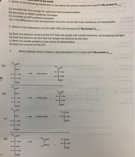 1. Which of the following statements is tru questions (3 pts each) statements is true about the proton motive force (pmf)? My
