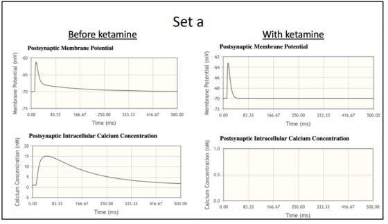 Set a Before ketamine Postsynaptic Membrane Potential With ketamine Postsynaptic Membrane Potential Membrane Potential (mv) M