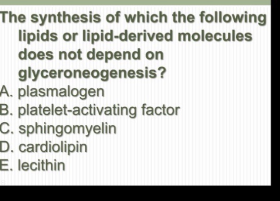 The synthesis of which the following lipids or lipid-derived molecules does not depend on glyceroneogenesis? A. plasmalogen B