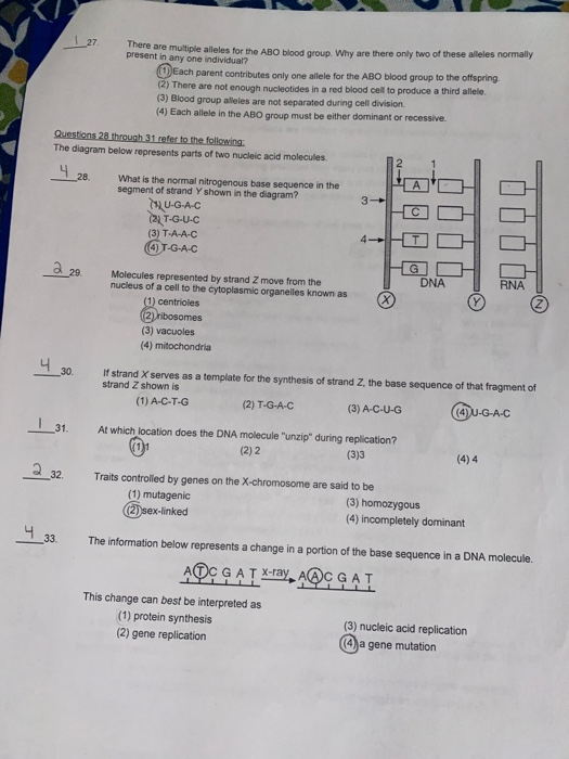 127 There are multiple alleles for the ABO blood group Why are there only two of these alleles normally present in any one in