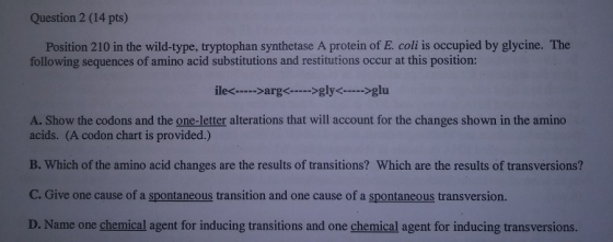 Question 2 (14 pts) Position 210 in the wild-type, tryptophan synthetase A protein of E. coli is occupied by glycine. The fol