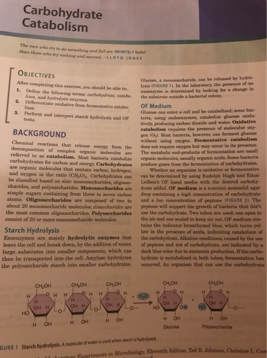 Carbohydrate Catabolism The men who try to do something and foil are INFINITELY better than those who try nothing and seed. -